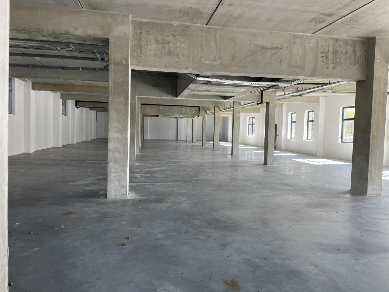 Local d'activité Dardilly 2585m² Location local d'activité Dardilly Rhône OLACT2207215 14